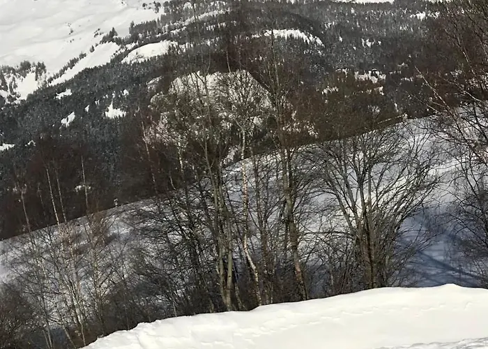 Sorecrans Apartament Crans-Montana