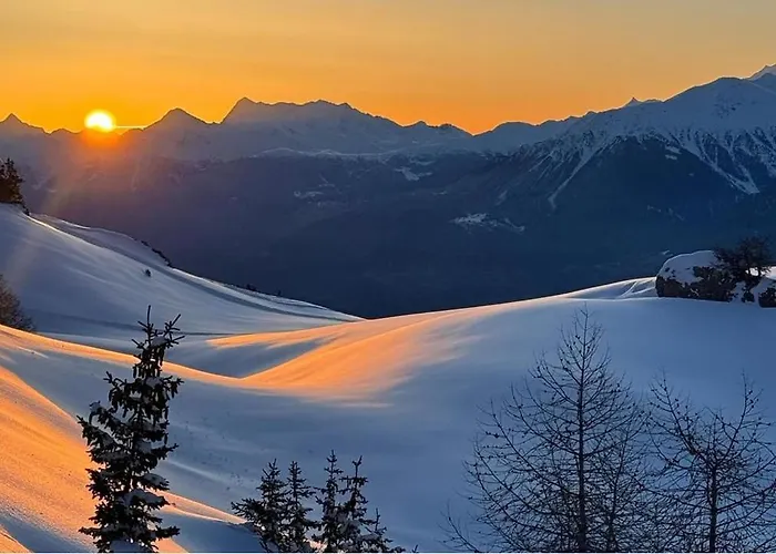 Sorecrans كرانز مونتانا