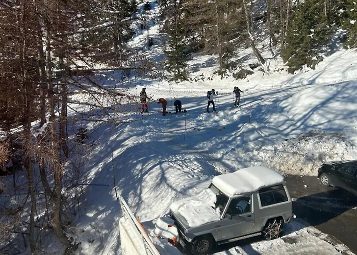 Sorecrans كرانز مونتانا